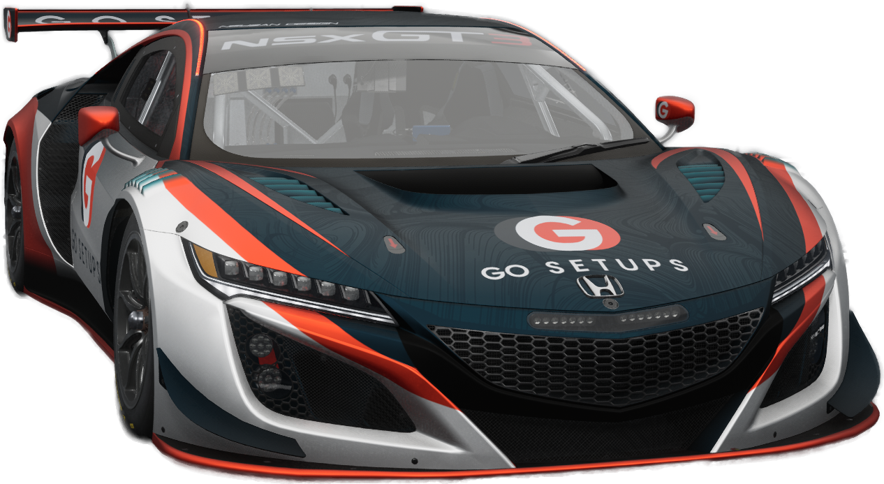 HONDA NSX GT3 EVO GO Setups